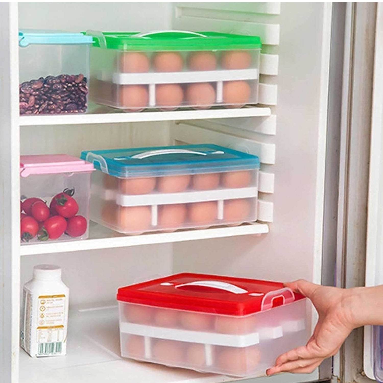 2Layer, 32 Grid Egg Tray with Lid Egg Carrier Holder for Refrigerator, Camping Food Storage Container with Handle (1 Pc ) - infinityexculsivestore.com