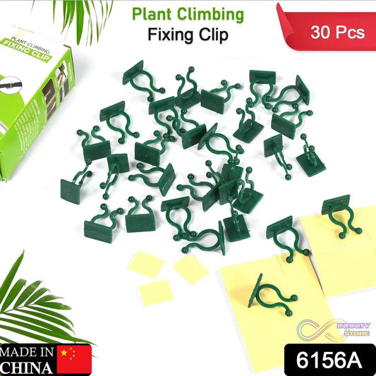 30pcs wall Plant Climbing Clip widely used for holding plants and poultry purposes and all (Box/30 Pcs Set) - infinityexculsivestore.com