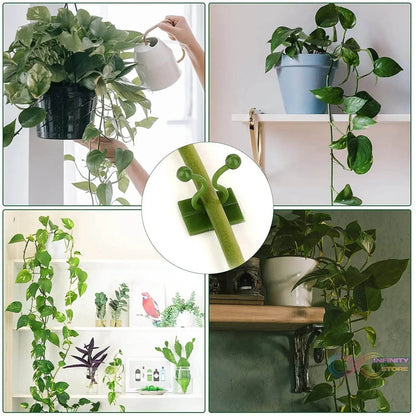 30pcs wall Plant Climbing Clip widely used for holding plants and poultry purposes and all (Box/30 Pcs Set) - infinityexculsivestore.com
