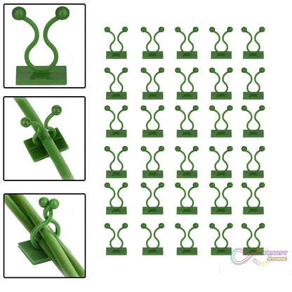 30pcs wall Plant Climbing Clip widely used for holding plants and poultry purposes and all (Box/30 Pcs Set) - infinityexculsivestore.com