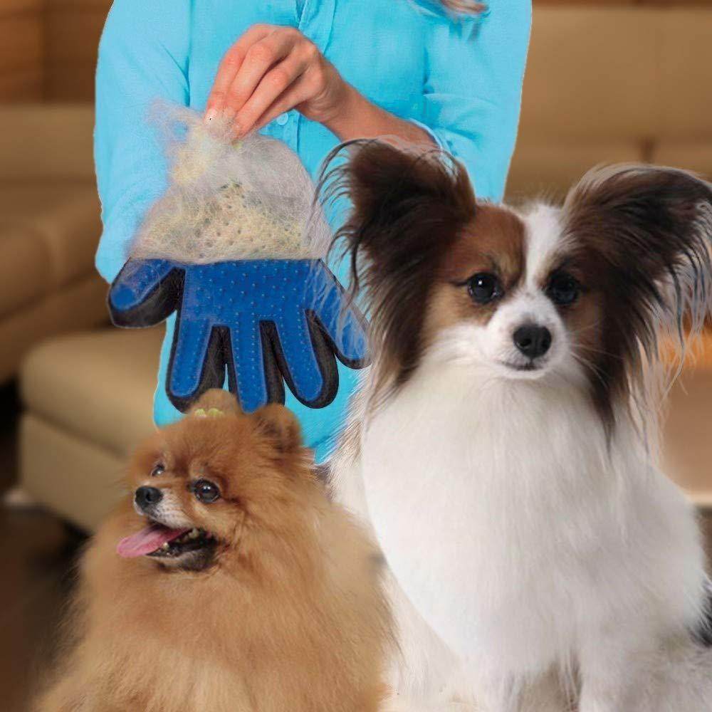 5 Finger Deshedding Glove (1 Pc) - infinityexculsivestore.com