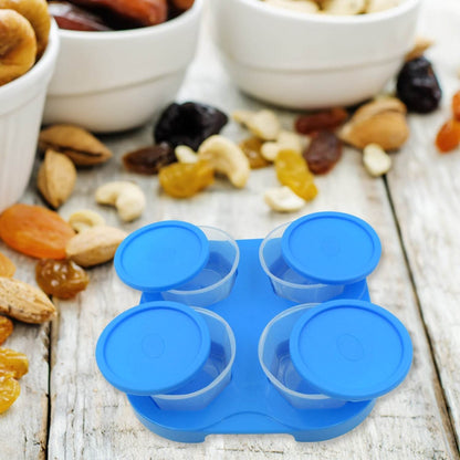 Airtight Container Jar 4 Pc Set With Stylish Tray for Kitchen Unbreakable Jar Set for Multipurpose Storage ( Mukhwas Dani ) - infinityexculsivestore.com