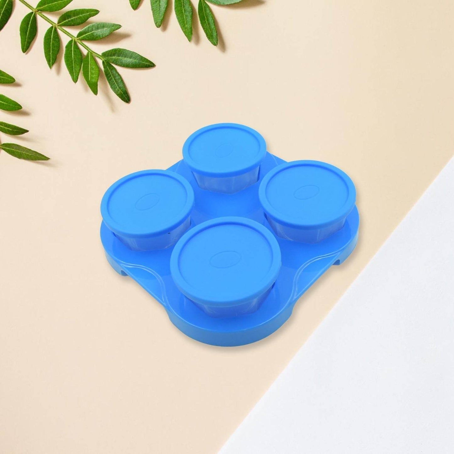 Airtight Container Jar 4 Pc Set With Stylish Tray for Kitchen Unbreakable Jar Set for Multipurpose Storage ( Mukhwas Dani ) - infinityexculsivestore.com