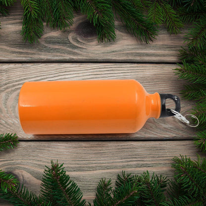 Aluminium Sports Water Bottle, 1 Pc (Capacity 400 ML Approx) - infinityexculsivestore.com