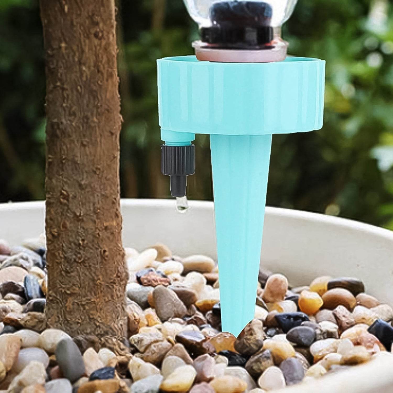 Auto Plant Watering Devices (1 Pc / Mix Color) - infinityexculsivestore.com