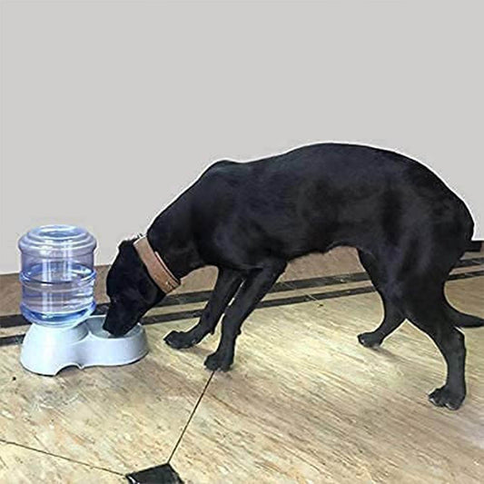 Automatic Pet Water Dispenser, Food Storage Bottle - infinityexculsivestore.com