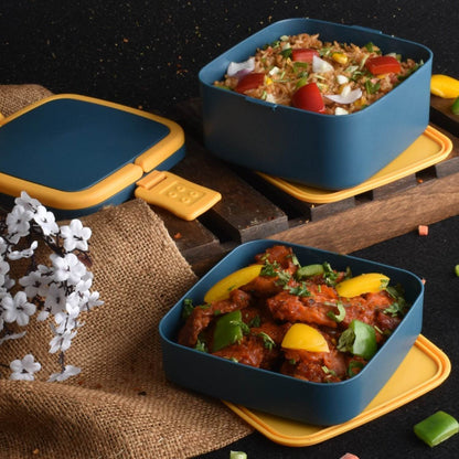 BLUE DOUBLE-LAYER PORTABLE LUNCH BOX STACKABLE WITH CARRYING HANDLE AND SPOON LUNCH BOX , Bento Lunch Box - infinityexculsivestore.com