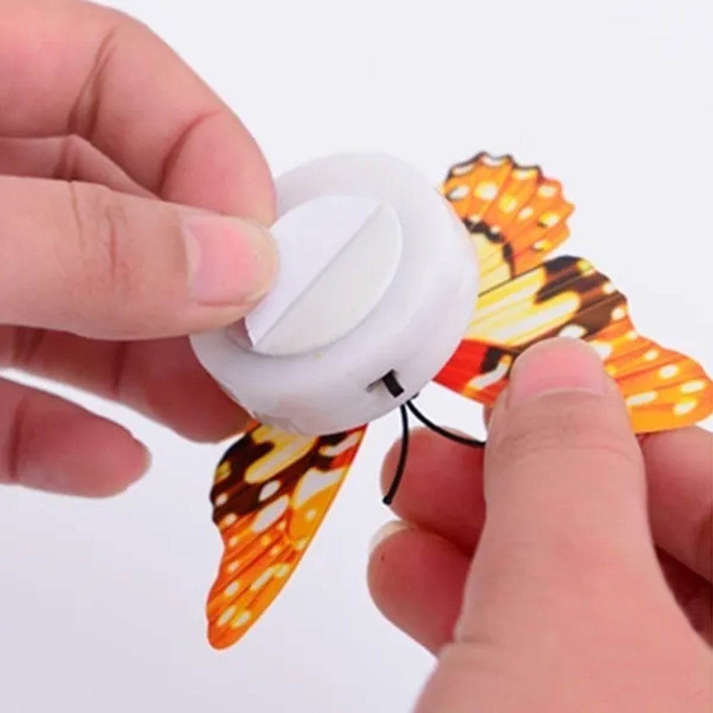 BUTTERFLY 3D NIGHT LAMP COMES WITH 3D ILLUSION DESIGN SUITABLE FOR DRAWING ROOM, LOBBY. (Pack Of 50) - infinityexculsivestore.com