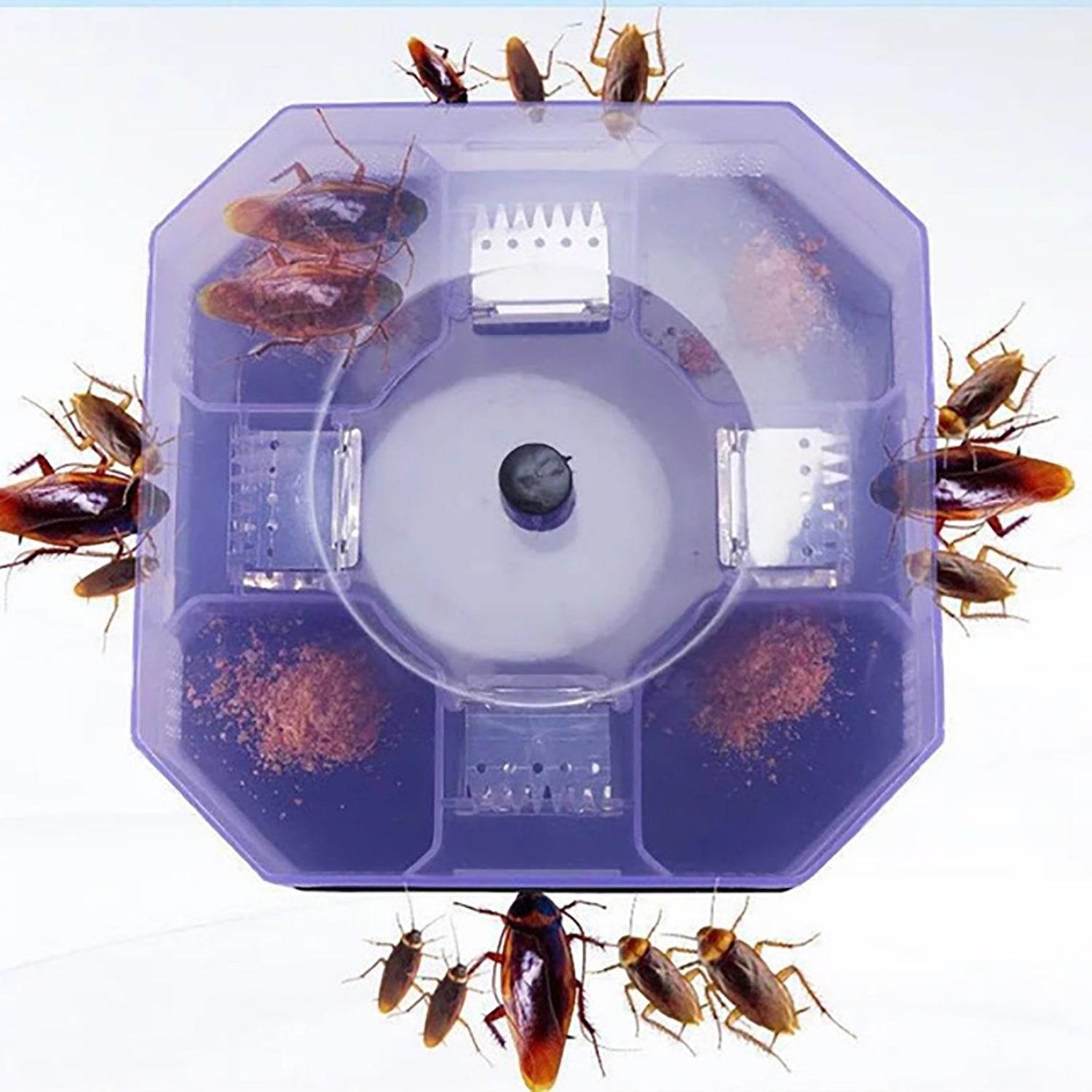 Cockroach Traps Box Cockroach Bug Roach Catcher Cockroach Killer - infinityexculsivestore.com