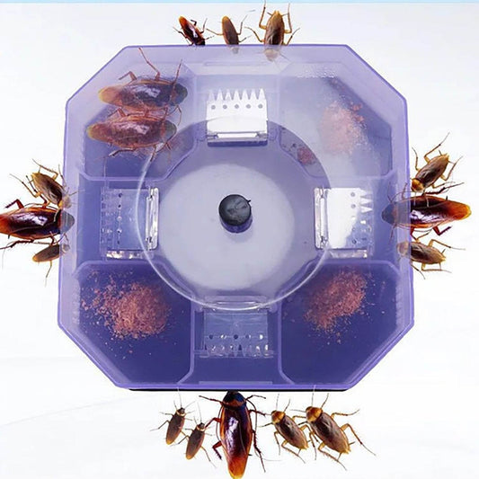 Cockroach Traps Box Cockroach Bug Roach Catcher Cockroach Killer - infinityexculsivestore.com