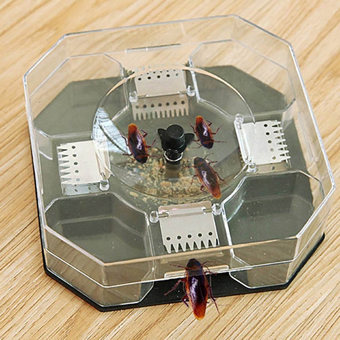 Cockroach Traps Box Cockroach Bug Roach Catcher Cockroach Killer - infinityexculsivestore.com