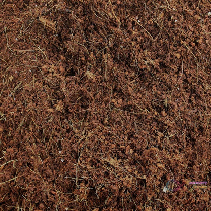 Cocopeat Block Organic Fertilizer and Soil Manure Potting Mixture for Home Gardening and Potted Plants (1 KG.) - infinityexculsivestore.com
