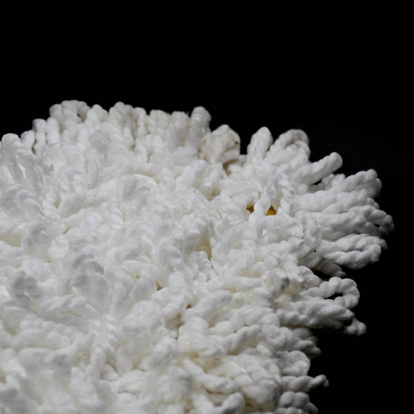 Dust Mop Refill - Replacement Mop Head Only - 50cm X 20cm - infinityexculsivestore.com