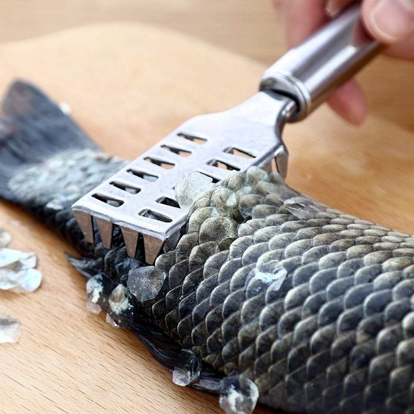 Fish Scale Remover Scraper Stainless Steel Fish Cutting Tools Sawtooth Easily Remove Fish Scales-Cleaning Brush Scraper Kitchen Tool- - infinityexculsivestore.com