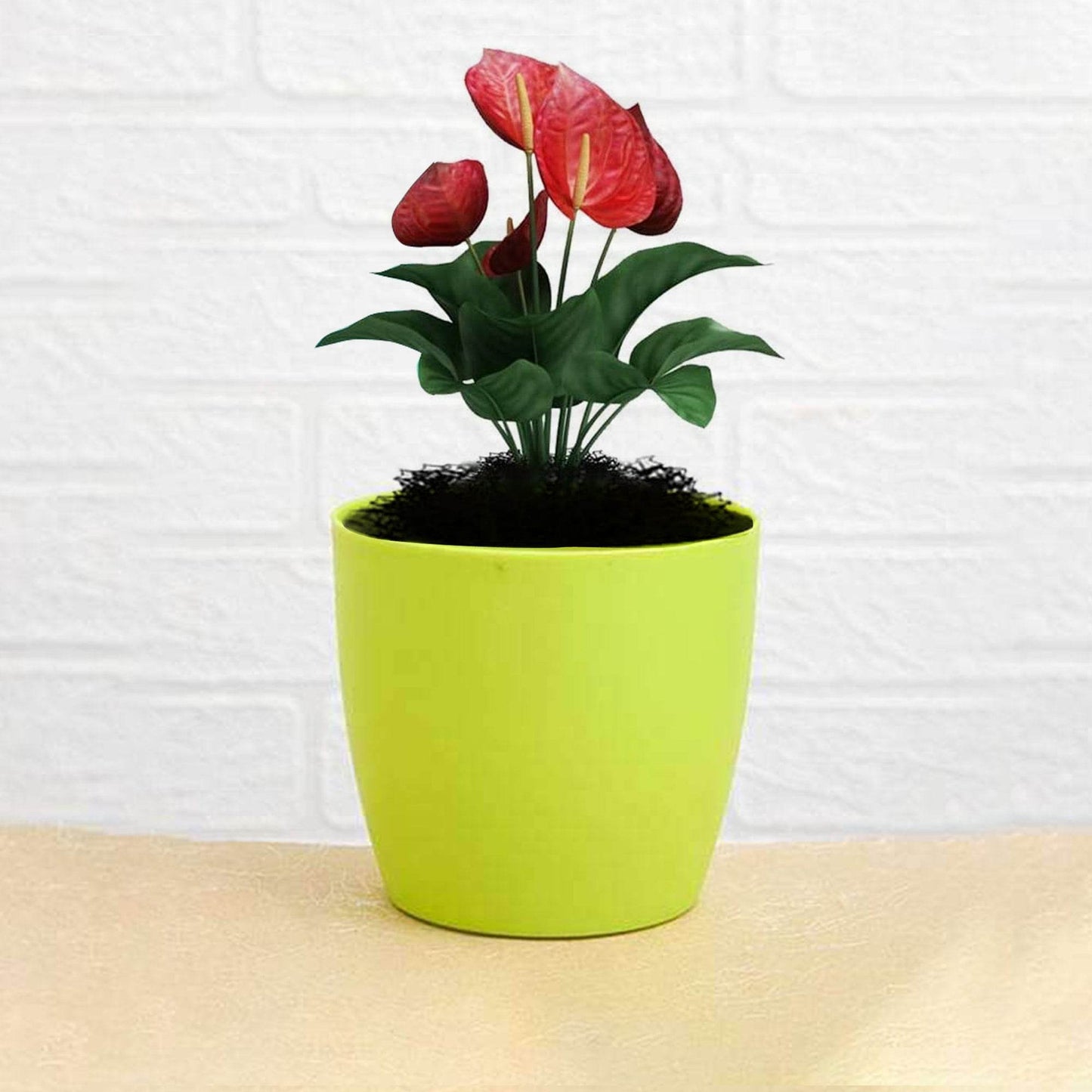 Flower Pots Round Shape For Indoor / Outdoor Gardening - infinityexculsivestore.com