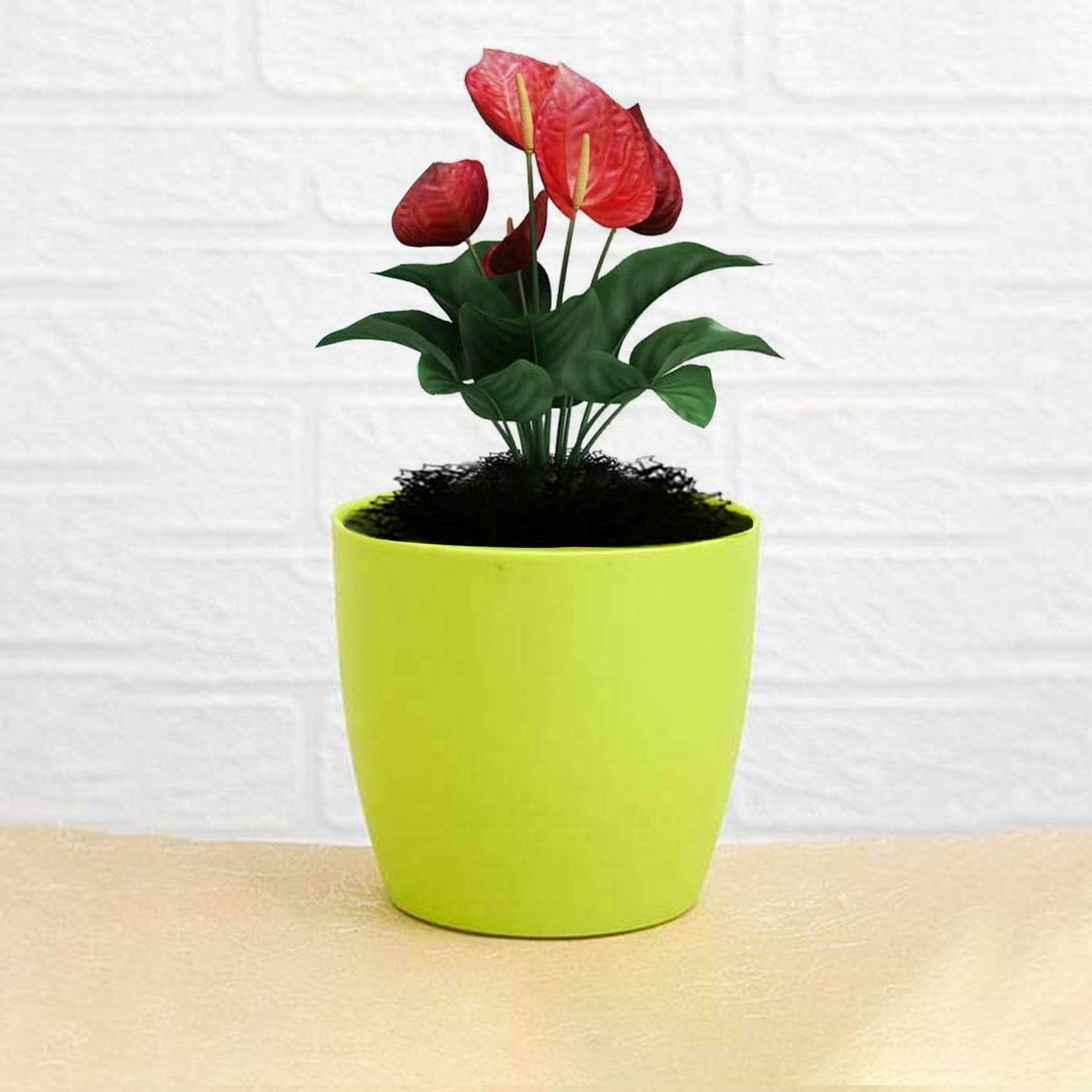 Flower Pots Round Shape For Indoor / Outdoor Gardening - infinityexculsivestore.com