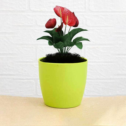 Flower Pots Round Shape For Indoor / Outdoor Gardening - infinityexculsivestore.com