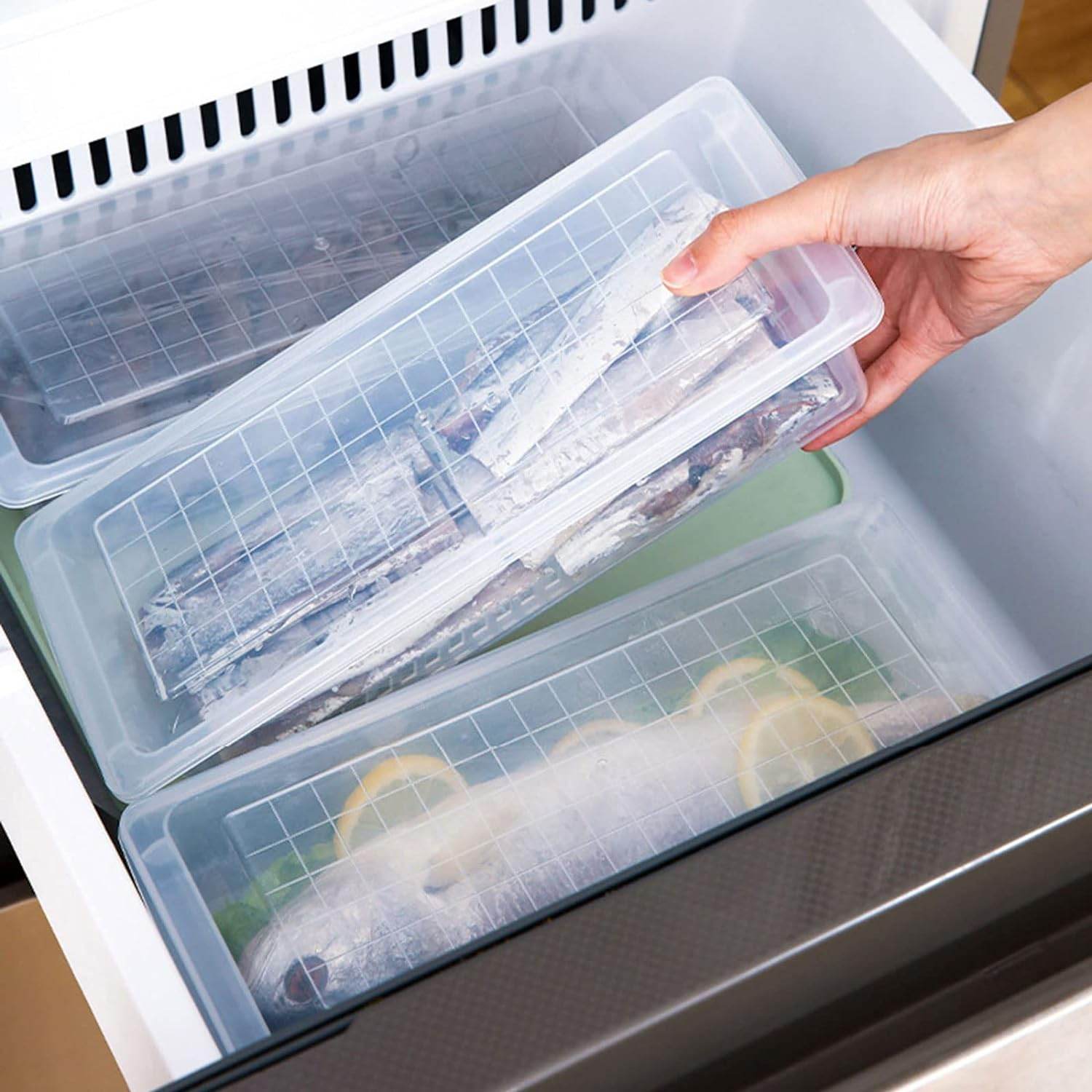 Food Storage Container with Removable Drain Plate and Lid, 1500 ml (Pack of 1 Pc) - infinityexculsivestore.com