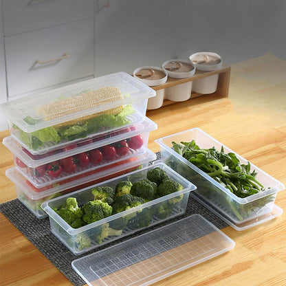 Food Storage Container with Removable Drain Plate and Lid, 1500 ml (Pack of 1 Pc) - infinityexculsivestore.com