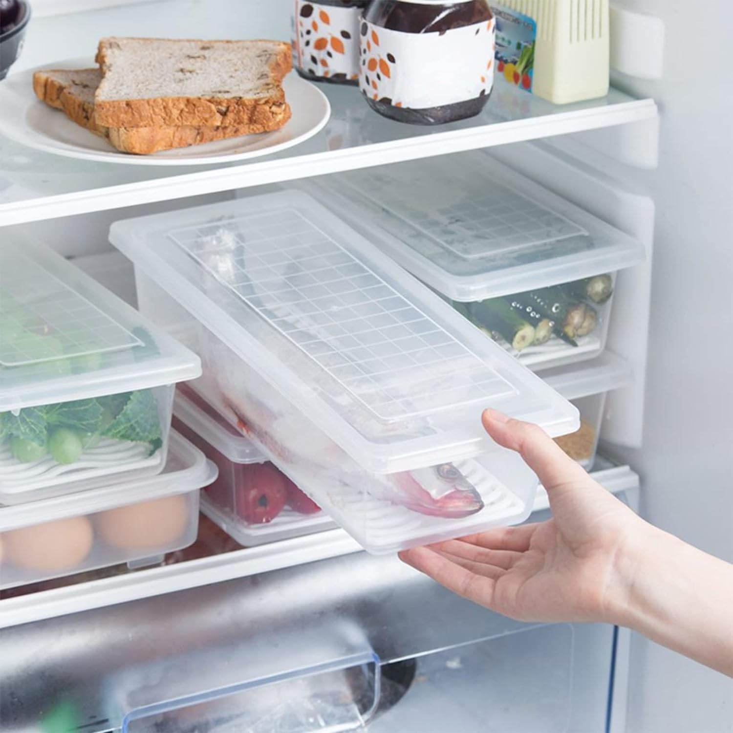 Food Storage Container with Removable Drain Plate and Lid, 1500 ml (Pack of 1 Pc) - infinityexculsivestore.com