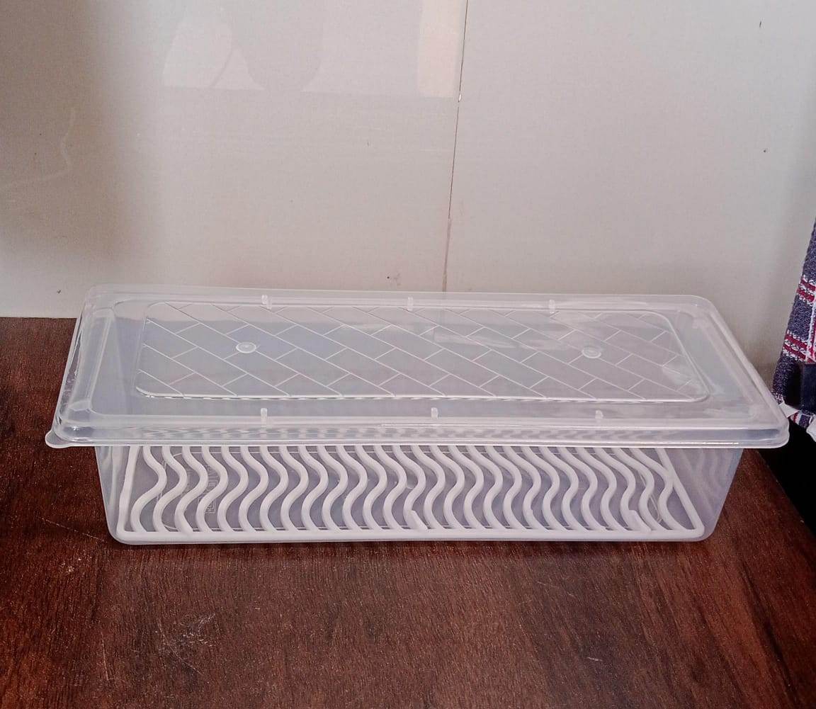 Food Storage Container with Removable Drain Plate and Lid, 1500 ml (Pack of 1 Pc) - infinityexculsivestore.com