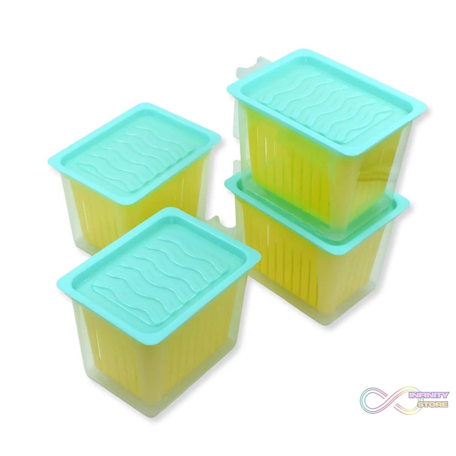 Fridge Storage Containers with Handle Plastic Storage Container for Kitchen(4 Pcs Set) - infinityexculsivestore.com