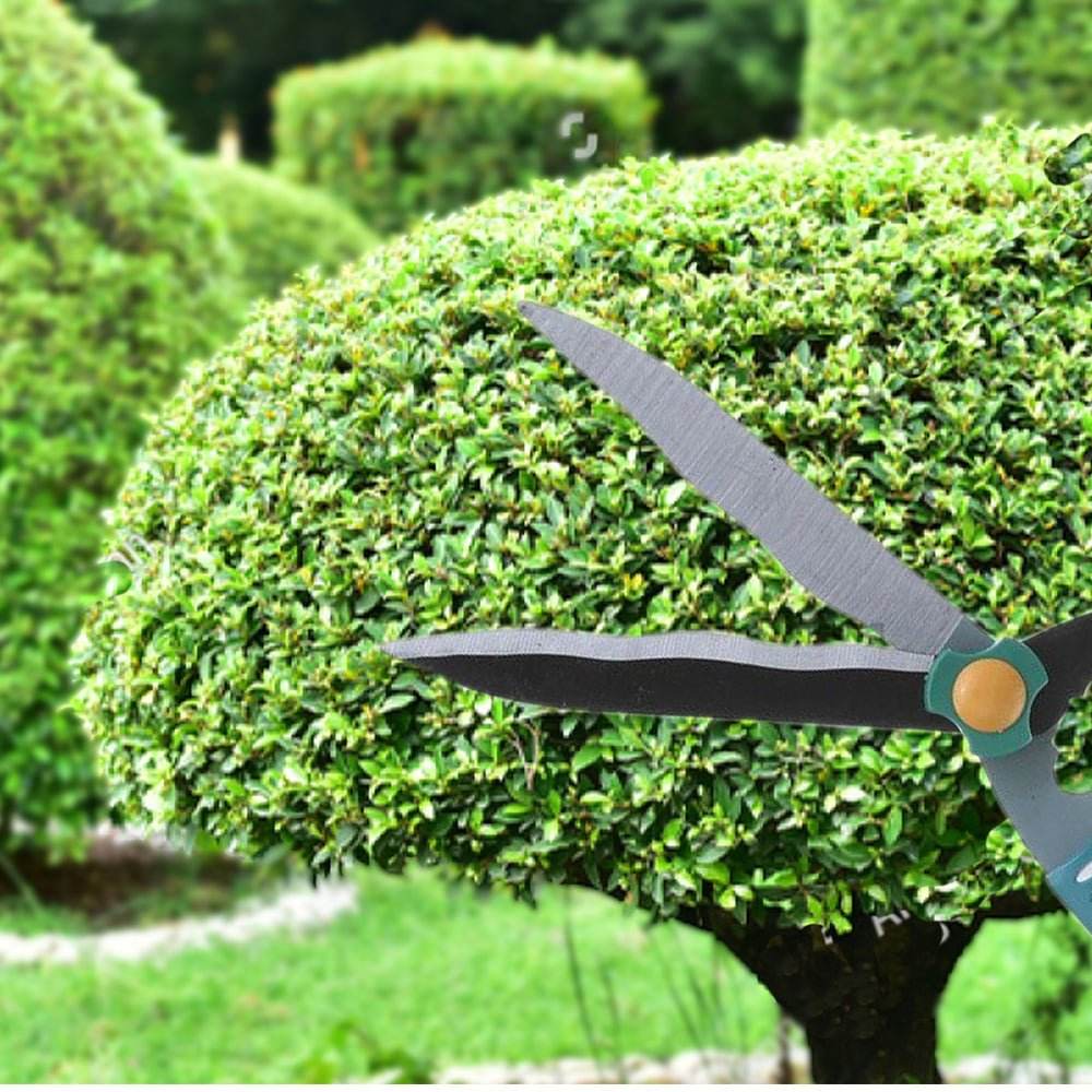 Garden Big Scissor - infinityexculsivestore.com