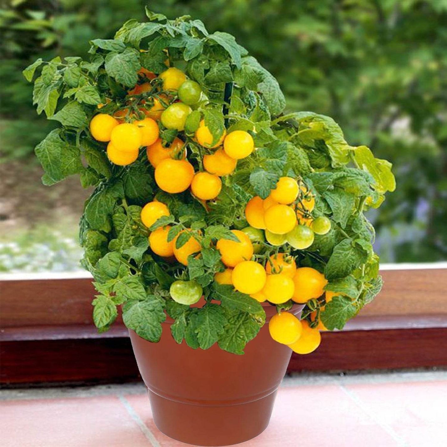 Garden Heavy Plastic Planter Pot / Gamla 6 inch (Brown, Pack of 1, Small) - infinityexculsivestore.com