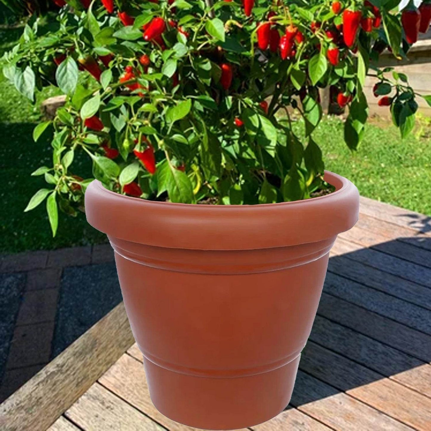 Garden Heavy Plastic Planter Pot / Gamla 6 inch (Brown, Pack of 1, Small) - infinityexculsivestore.com