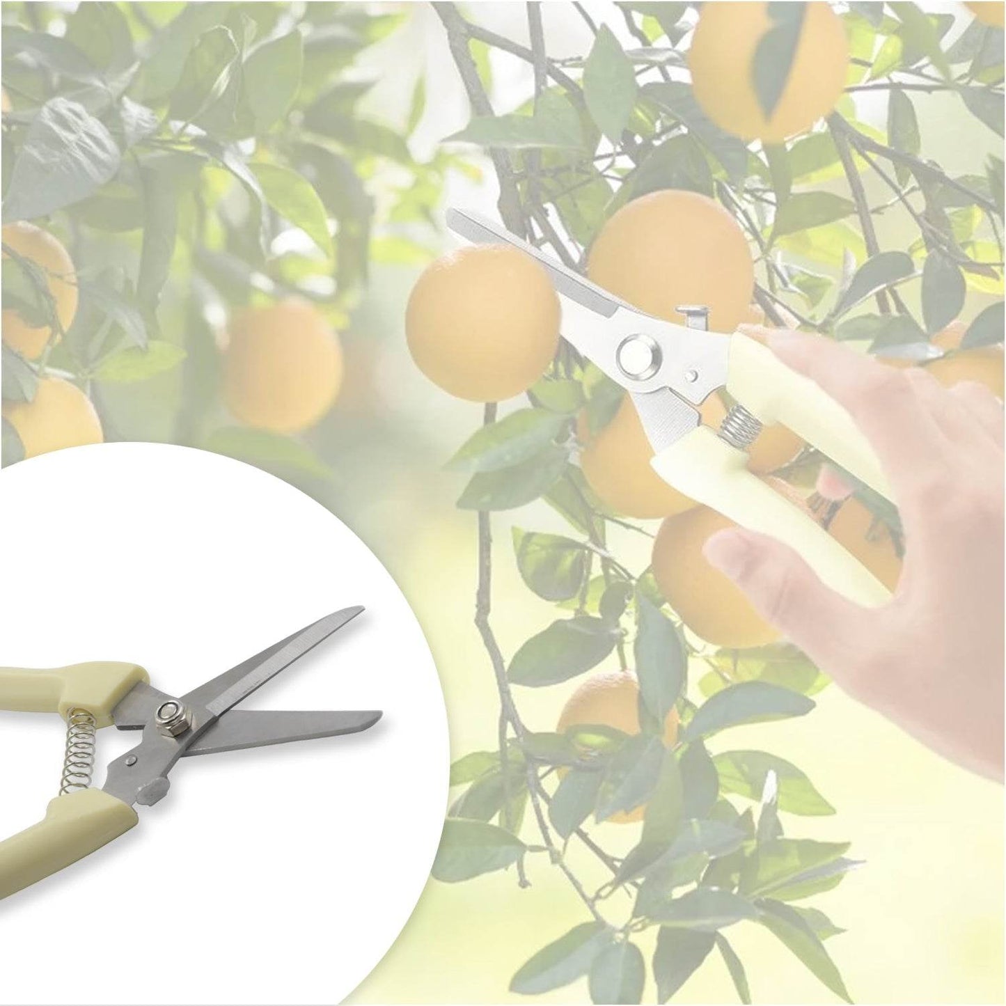 Garden Pruning Shears with Anti-Slip Handle Labor-Saving Fruit Tree Pruning Shears - infinityexculsivestore.com