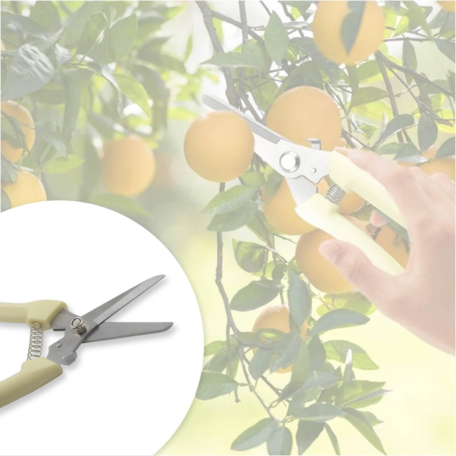 Garden Pruning Shears with Anti-Slip Handle Labor-Saving Fruit Tree Pruning Shears - infinityexculsivestore.com
