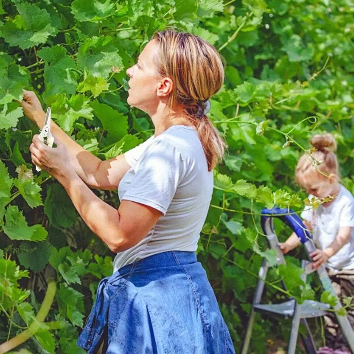 Garden Pruning Shears with Anti-Slip Handle Labor-Saving Fruit Tree Pruning Shears - infinityexculsivestore.com