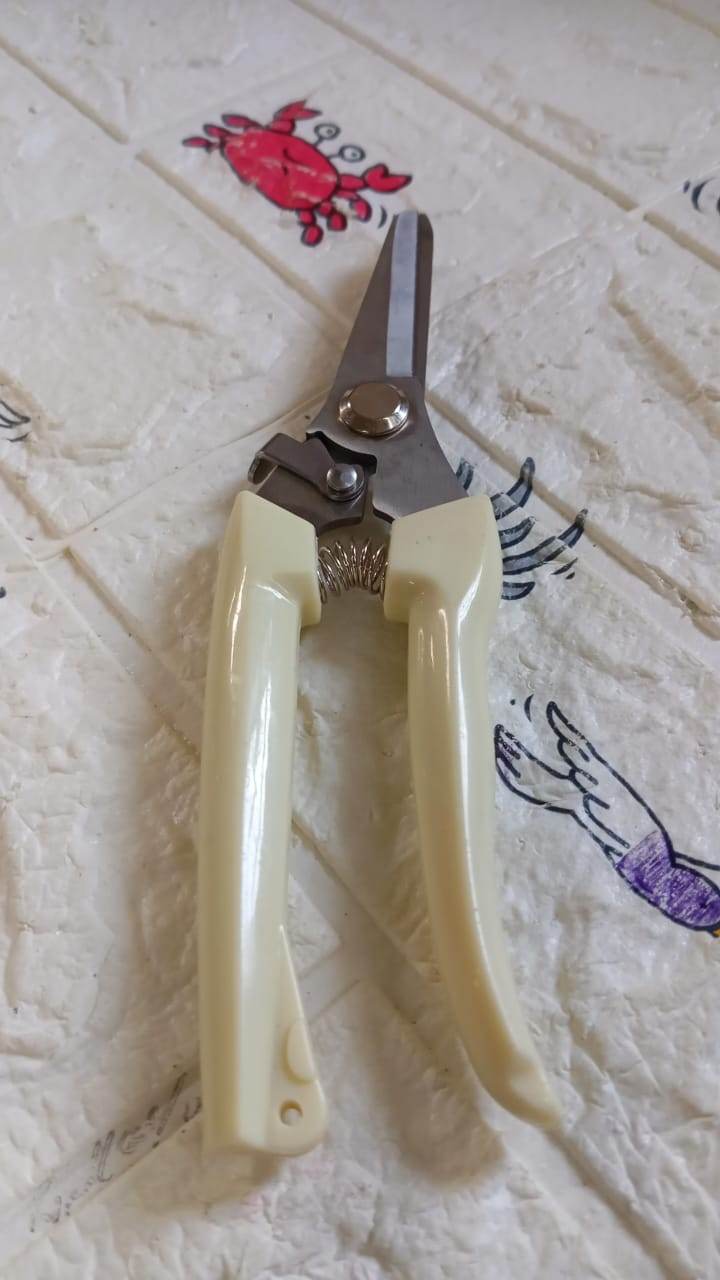 Garden Pruning Shears with Anti-Slip Handle Labor-Saving Fruit Tree Pruning Shears - infinityexculsivestore.com