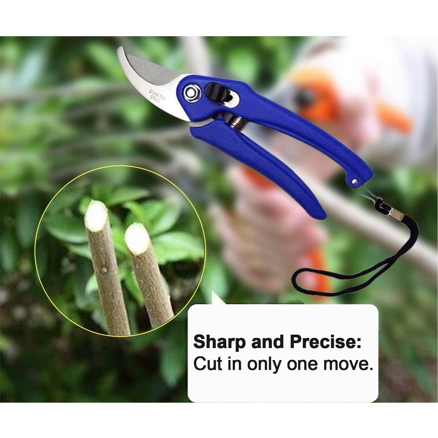 Garden Shears Pruners Scissor for Cutting Branches, Flowers, Leaves, Pruning Seeds - infinityexculsivestore.com