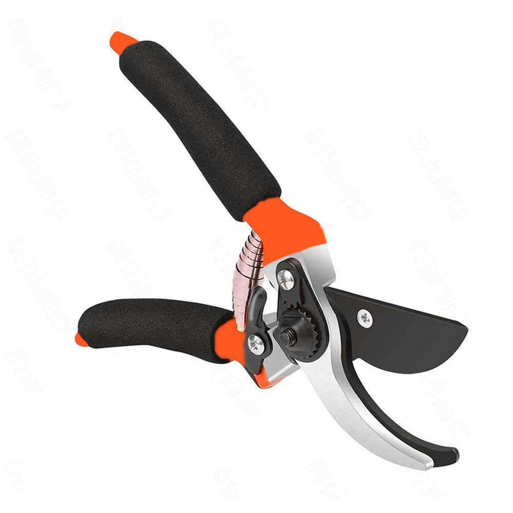 Garden Shears Sharp Cutter Pruners Scissor, Pruner - infinityexculsivestore.com