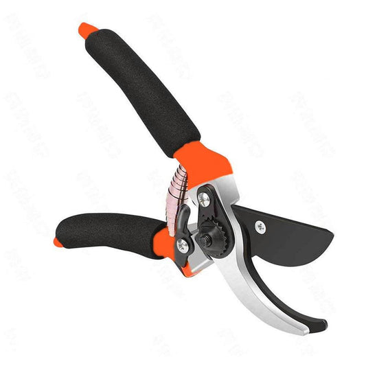 Garden Shears Sharp Cutter Pruners Scissor, Pruner - infinityexculsivestore.com