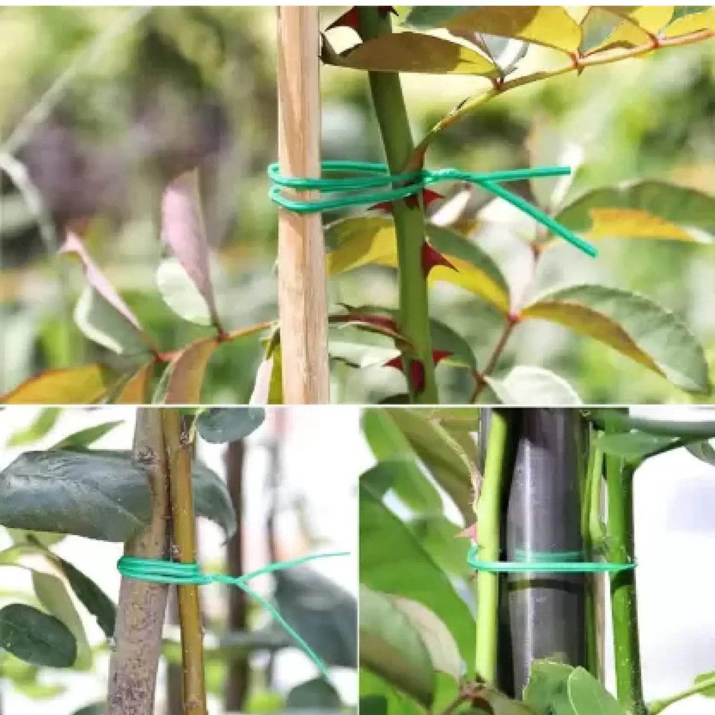 Garden Wire, Sturdy Plant Ties for Support, Garden Ties with Cutter for Tomatoes Vines, Plant Wire Tie Wire for Indoor, Outdoor, Home and Office Use (50 Mtr) - infinityexculsivestore.com