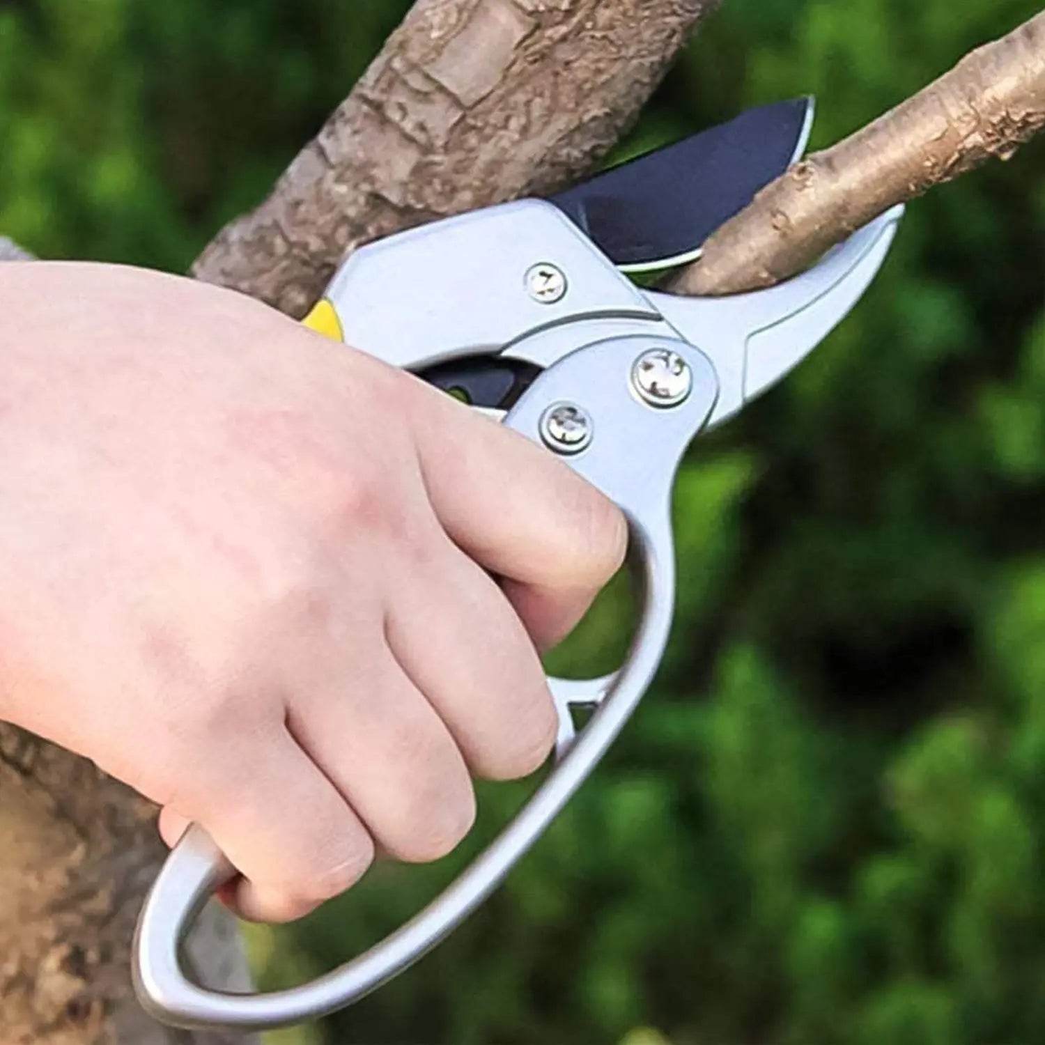 Gardening Shears, Enhanced Garden Shears Pruning Machine (200 MM / 1 Pc) - infinityexculsivestore.com