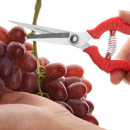 Heavy Duty Stainless Steel Cutter, Non‑slip Trimming Scissors Durable Not Easy To Wear for Gardening Pruning Of Fruit Trees Flowers and Plants (With Plastic Packing) - infinityexculsivestore.com