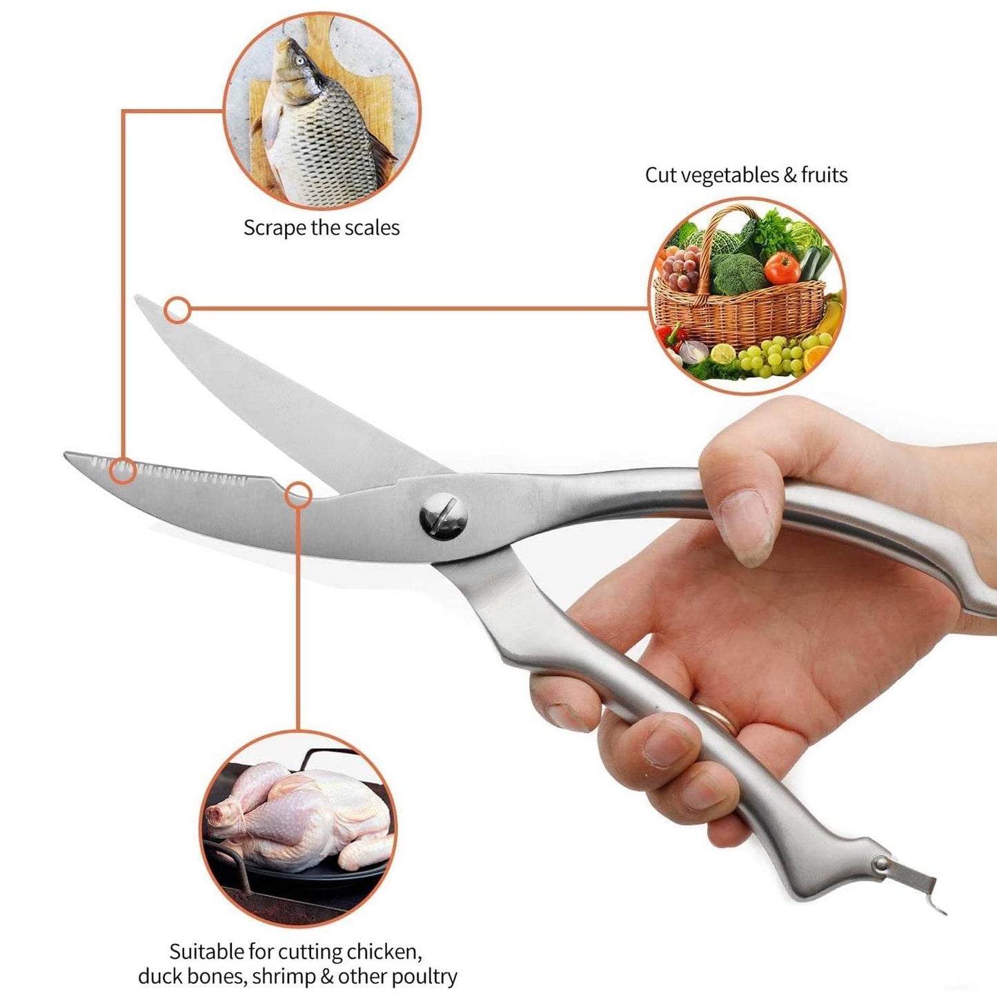 Heavy Duty Stainless Steel Poultry Shears, Premium Ultra Sharp Spring-Loaded Kitchen - infinityexculsivestore.com