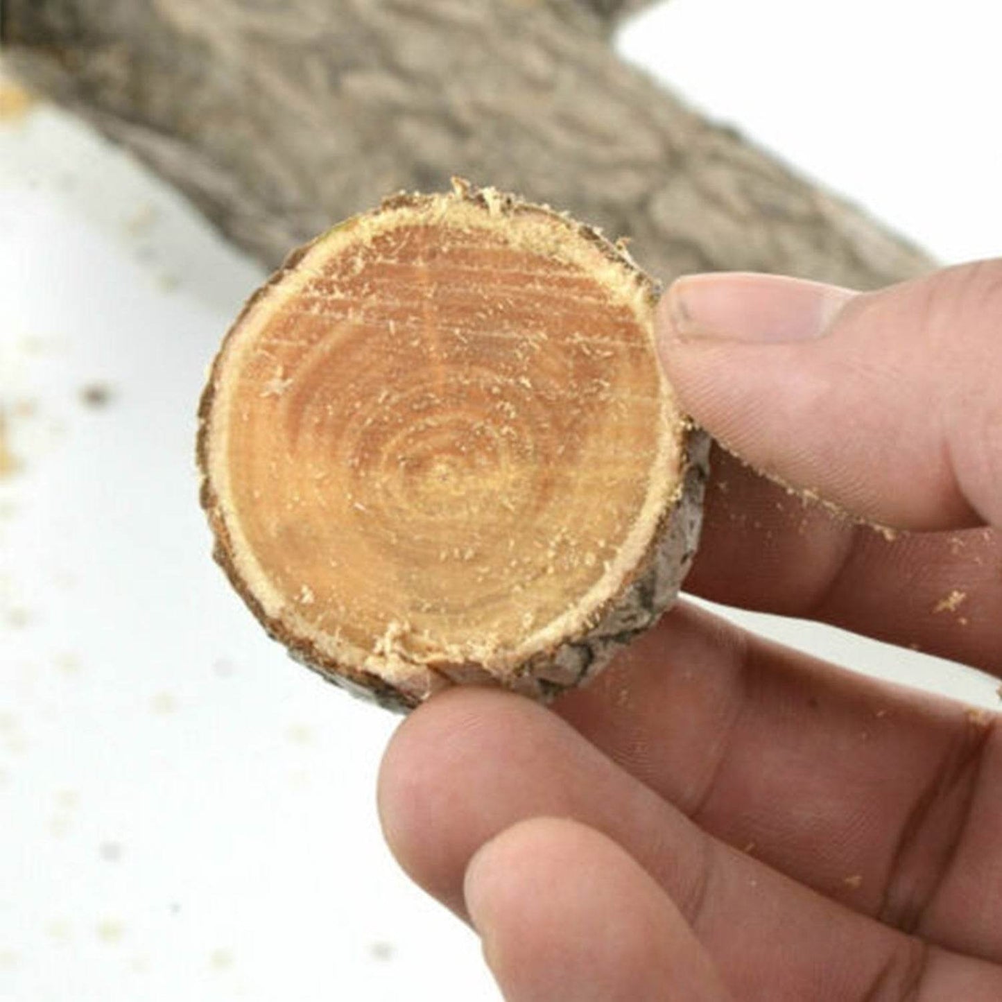 High Carbon Steel Tree Pruning Saw 270 mm Cutter - infinityexculsivestore.com