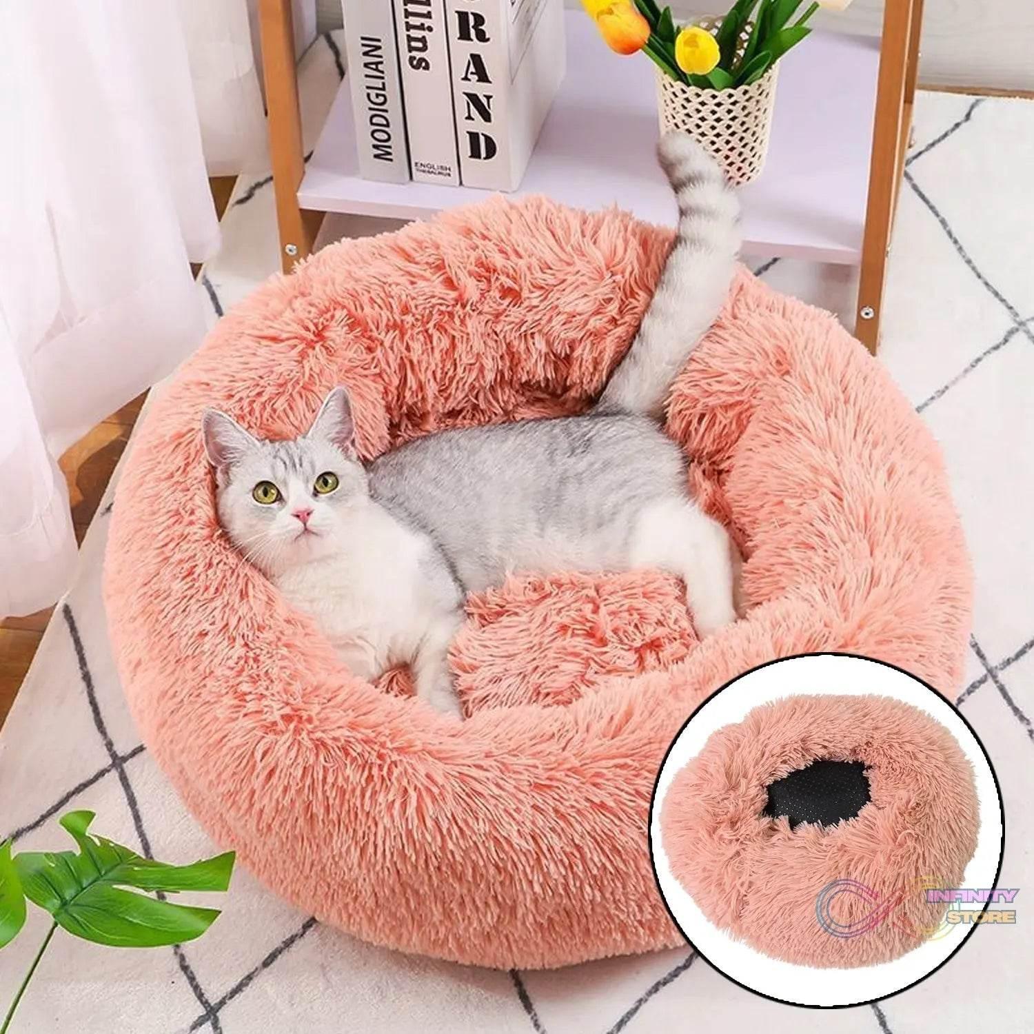 Indoor Dog Bed for Cats (50×50×13 Cm / Big) - infinityexculsivestore.com