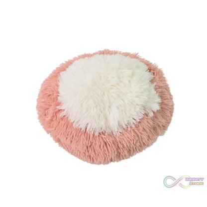 Indoor Dog Bed for Cats (50×50×13 Cm / Big) - infinityexculsivestore.com