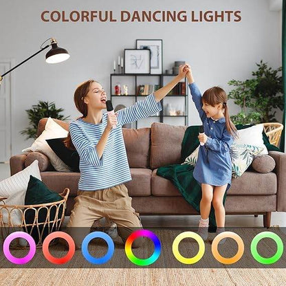 Karaoke Machine for Kids and Adults, Portable Bluetooth Mini Karaoke Microphone - infinityexculsivestore.com