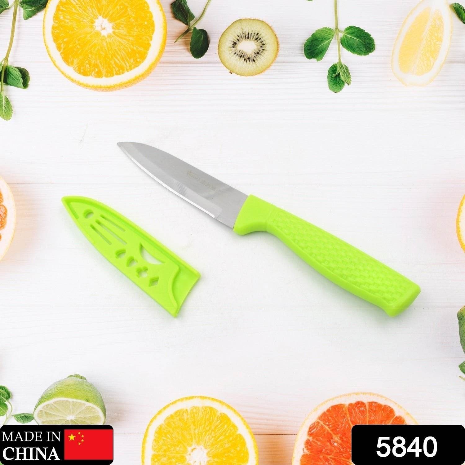 Kitchen Knife with Stainless Steel Blade, Professional Knife, Scratch Resistant and Rust Proof, Chopping Knife - infinityexculsivestore.com