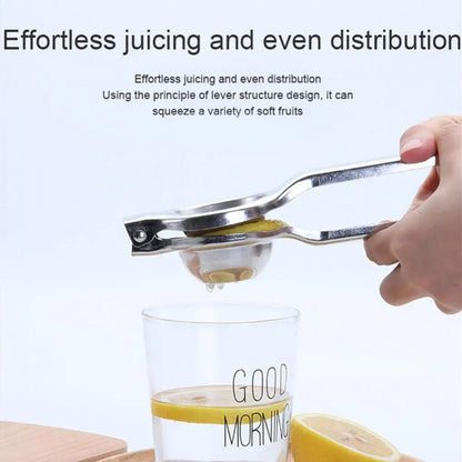 Lemon Squeezer Steel Polish - infinityexculsivestore.com
