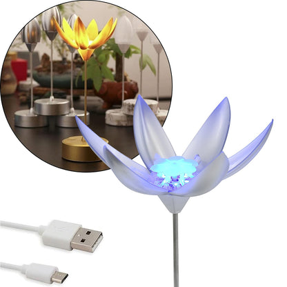 Lotus Flower Lamp with Music, Touch Open and Close, USB Rechargeable (1 Pc / Only One Color) - infinityexculsivestore.com
