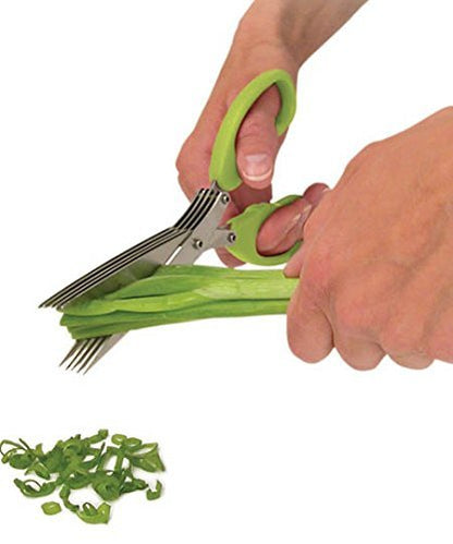 MULTIFUNCTION VEGETABLE STAINLESS STEEL HERBS SCISSOR WITH 5 BLADES - infinityexculsivestore.com