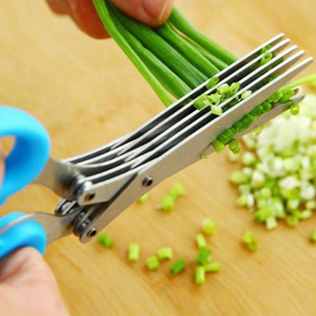 MULTIFUNCTION VEGETABLE STAINLESS STEEL HERBS SCISSOR WITH 5 BLADES - infinityexculsivestore.com