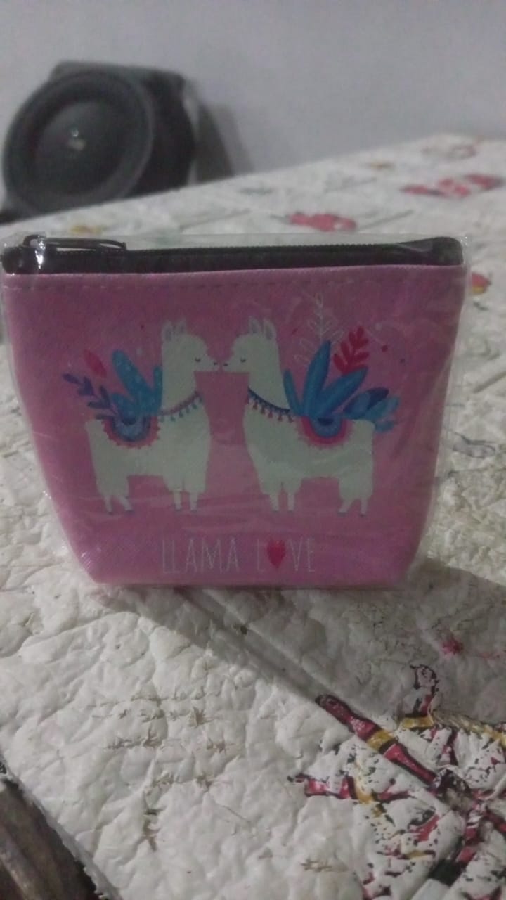 Mini Reusable Multipurpose Washable Pouch Case Travel, Boys & Girls Pouch with Zip, Cosmetic Makeup Pouch, Mini Backpack, for Travel (10x9CM) - infinityexculsivestore.com